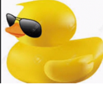 Ducky’s friends