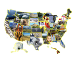 sup to America