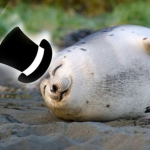 Fancy Seal Gang
