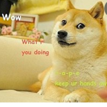 the doge group club and world