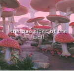 the two sides of the wall