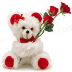 Elite Teddy Bear Force