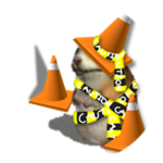 Traffic Cone Chomik