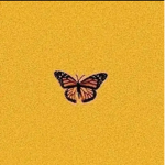 Butterfly sqad