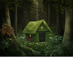 • Mushroom Forest •