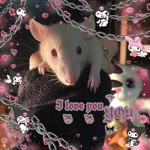 #HamsterGang123