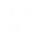 Noobie Collector