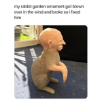 MEMES DAILY.