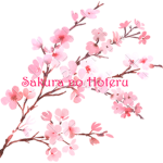Sakura no Hoteru