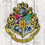 •Dumbledore’s Army!•