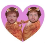 The !Cat! Sqaud