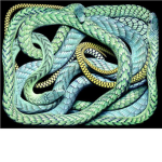 Ice Cobras