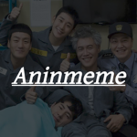 Aninmeme
