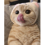 THR1FT SH0P