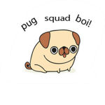 the pug squad boi