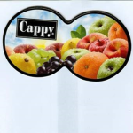 THE ULTIMATE cappythshappy group
