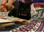 I love cats and fornite