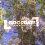 GOODDAY$