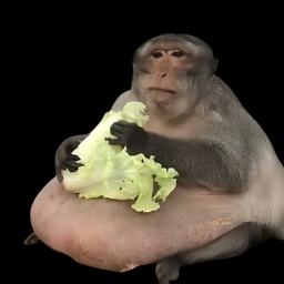 monkey claim