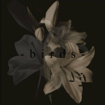 - birds -