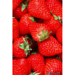 Strawberry obby!
