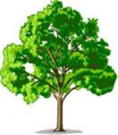 Go Green! Go Green!