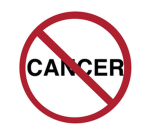 Cancer Research Team
