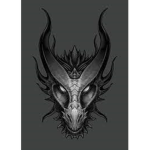 TheHumanDragons