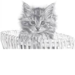 cat hat comunty