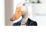 The_DuckySquad