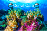 Corral Café