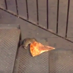 Rat Resturaunt