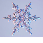 SnowwFlakes's