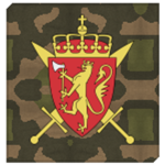 Norwegian Armed ‌Forces