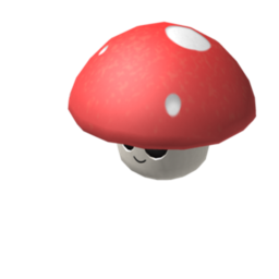Mushrooms (shrine to my friend)
