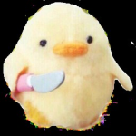 chickens team