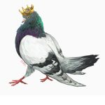 Pigeon king
