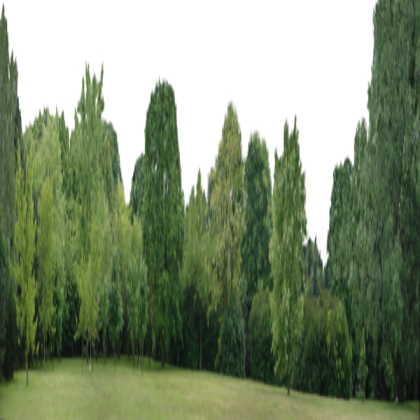 Tree Line Background Roblox decal