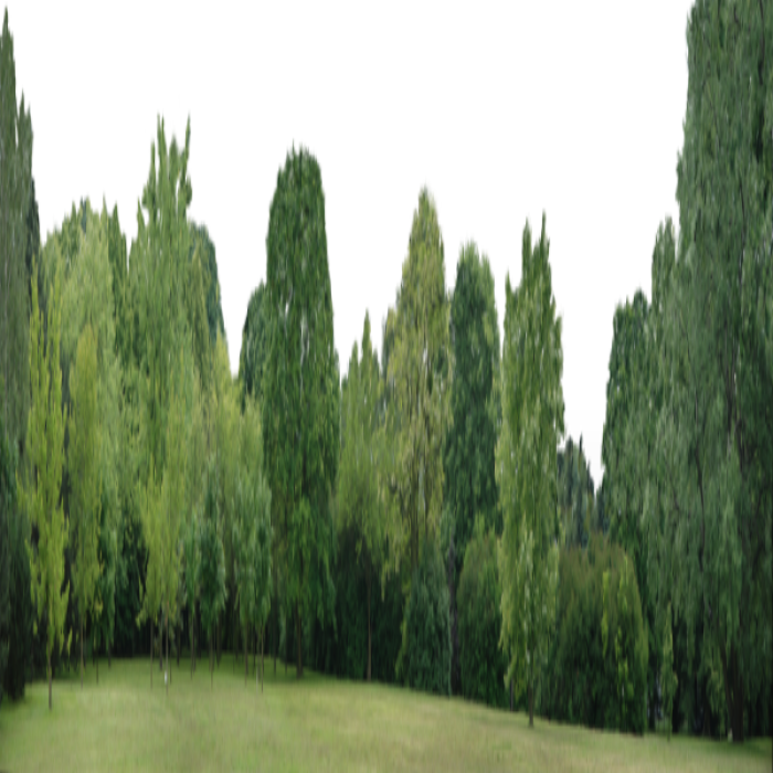 Tree Line Background Roblox decal