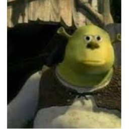 SHREK THE KILLER