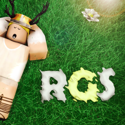 RGS • Road Block