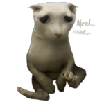 Dehydrated Bingus