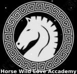 Horse wild love accademy