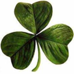 Shamrock Gamework Asset Hub