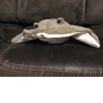 Larry the stingray