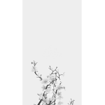 White Aesthetic cafe