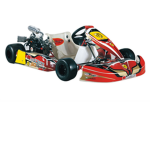 pro kart racing