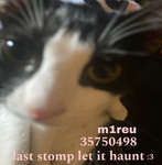 m1reu