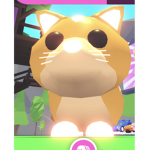 The Tabby Cats <3