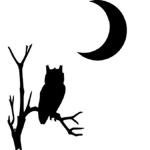 .- Owl clan -.